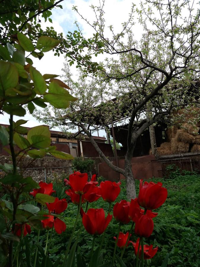 Aida Bed & Breakfast Tatev Exteriér fotografie